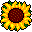 [B] Tournesol (id 323)